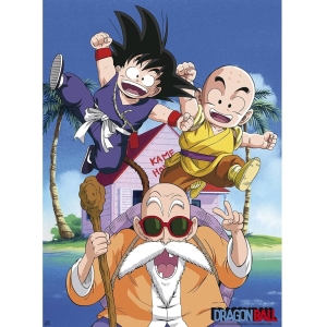 Plakat Dragon Ball Kame Team (52x38)