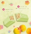 Japoński Kit Kat Mini Śliwka Ume
