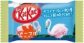 Kit Kat Save the Earth Maple Box