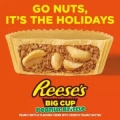 Reese's Big Cup Peanut Brittle 39g