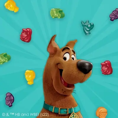 SCOOB! Fruit Snacks 226g